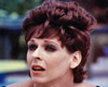 Dolly Sharp